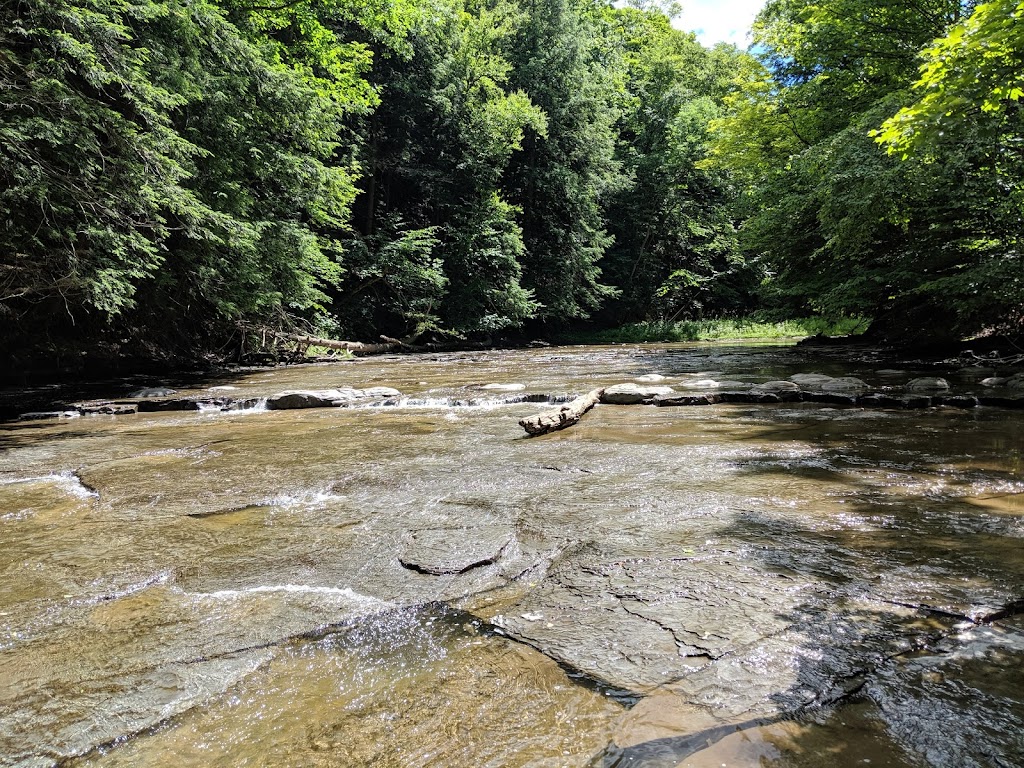 Kenneglenn Scenic and Nature Preserve | 11663 Strykersville Rd, East Aurora, NY 14052, USA | Phone: (716) 687-1225