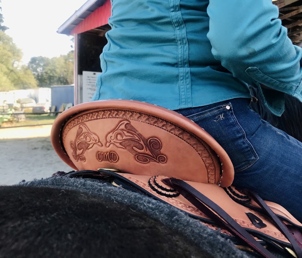 Allegany Mountain Saddlery | 10999 Persia Rd, Gowanda, NY 14070, USA | Phone: (716) 257-9574