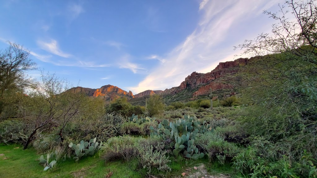 Tortilla Recreation Site | Apache Junction, AZ 85119, USA | Phone: (480) 610-3300