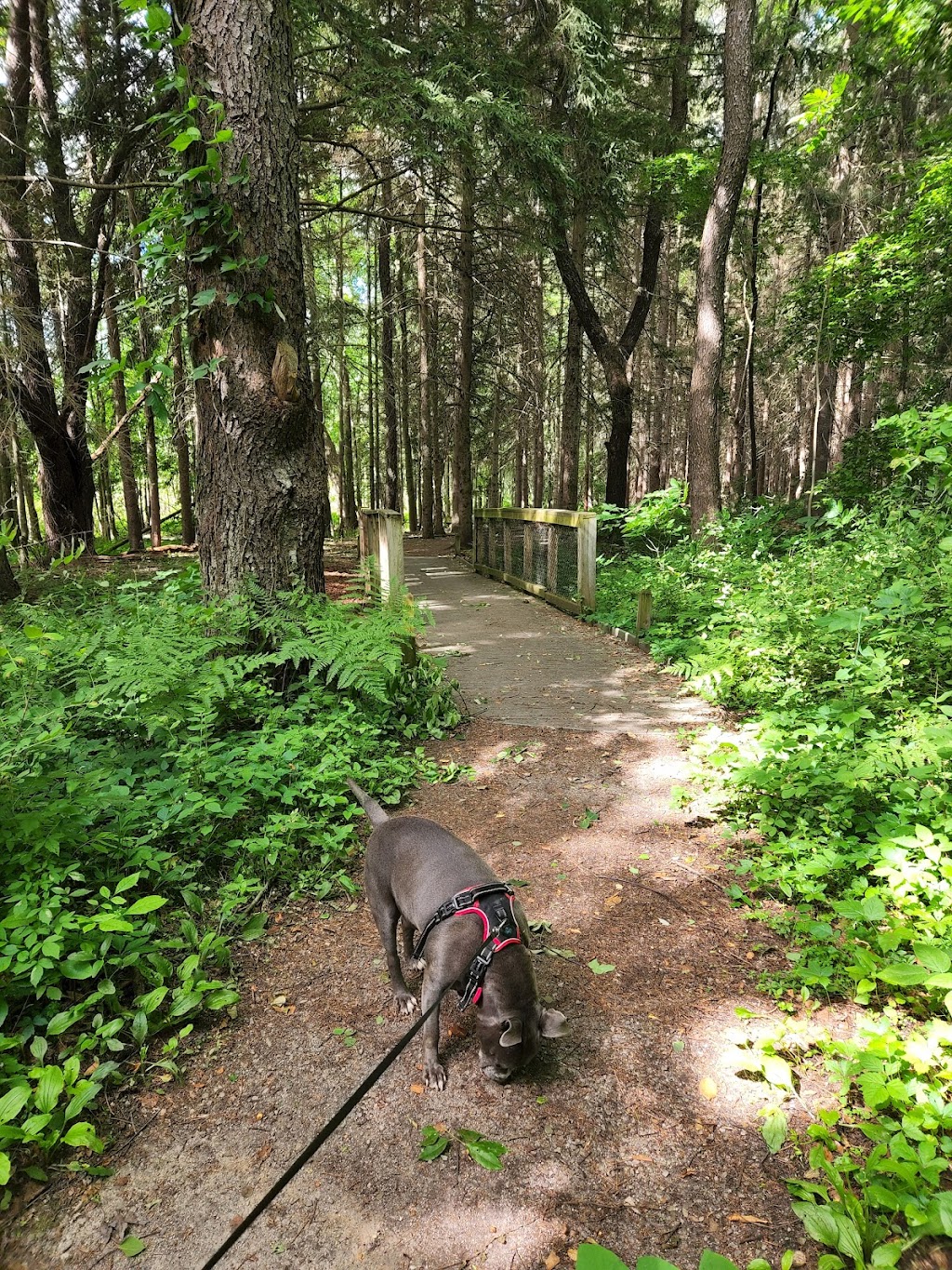 Iroquois National Wildlife Refuge | Casey Rd, Basom, NY 14013, USA | Phone: (585) 948-5445