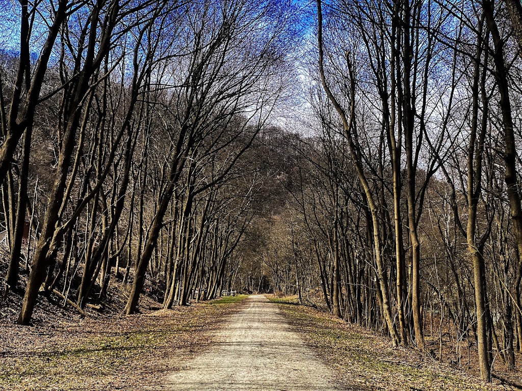 Dead Mans Hollow Conservation Area | 600 Scene Ridge Rd, McKeesport, PA 15133, USA | Phone: (412) 741-2750