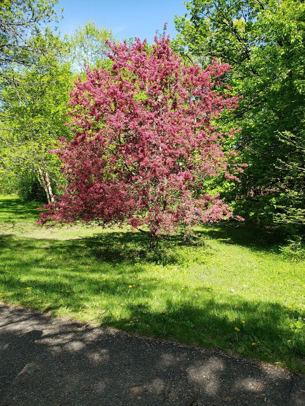 West Bush Lake Shelter #2 | 9401 W Bush Lake Rd, Bloomington, MN 55438, USA | Phone: (952) 563-8877