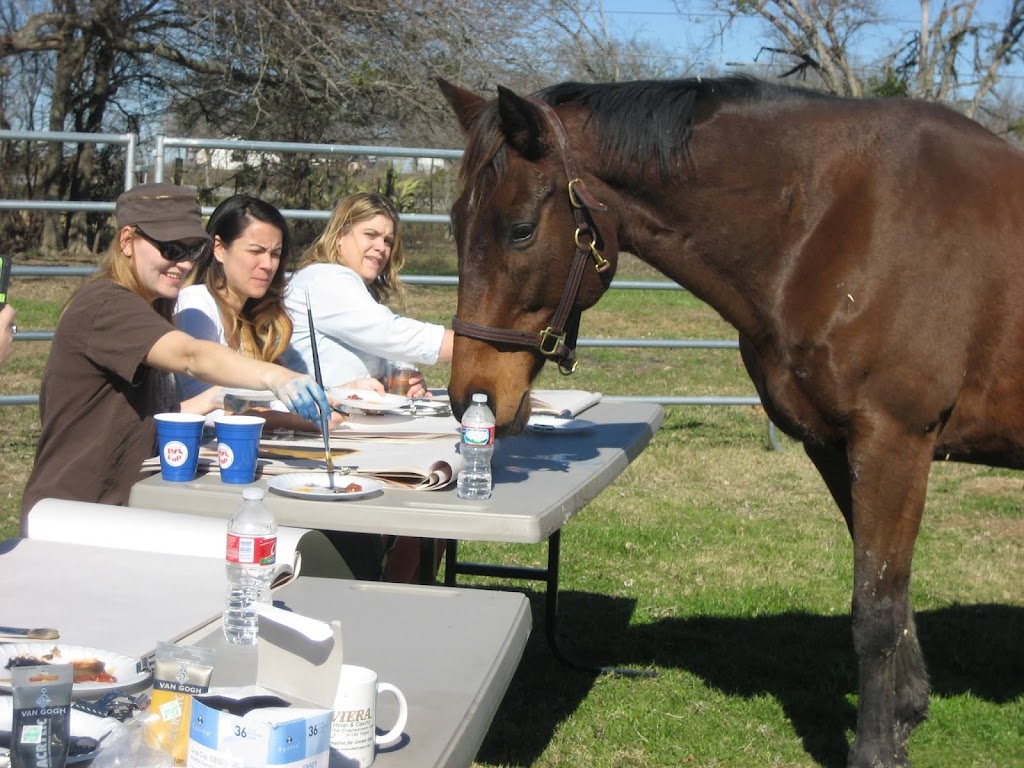 Zen Horse Life Coaching | 9109 Rodriguez Rd, Austin, TX 78747, USA | Phone: (512) 658-3473