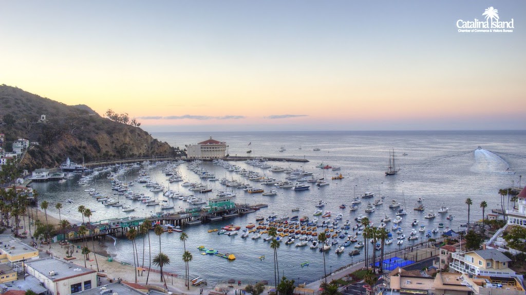 Catalina Island Visitor Center | 1 Green Pleasure Pier, Avalon, CA 90704, USA | Phone: (310) 510-1520