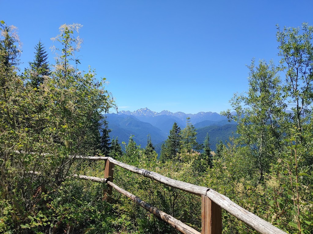 Mt. Walker Viewpoint | Mt Walker Lookout Rd, Brinnon, WA 98320, USA | Phone: (360) 956-2402