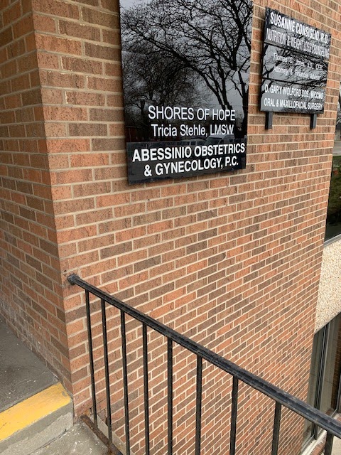 Shores Of Hope, LLC : Tricia Stehle, LMSW | 22811 Greater Mack Ave #200, St Clair Shores, MI 48080, USA | Phone: (248) 840-5517