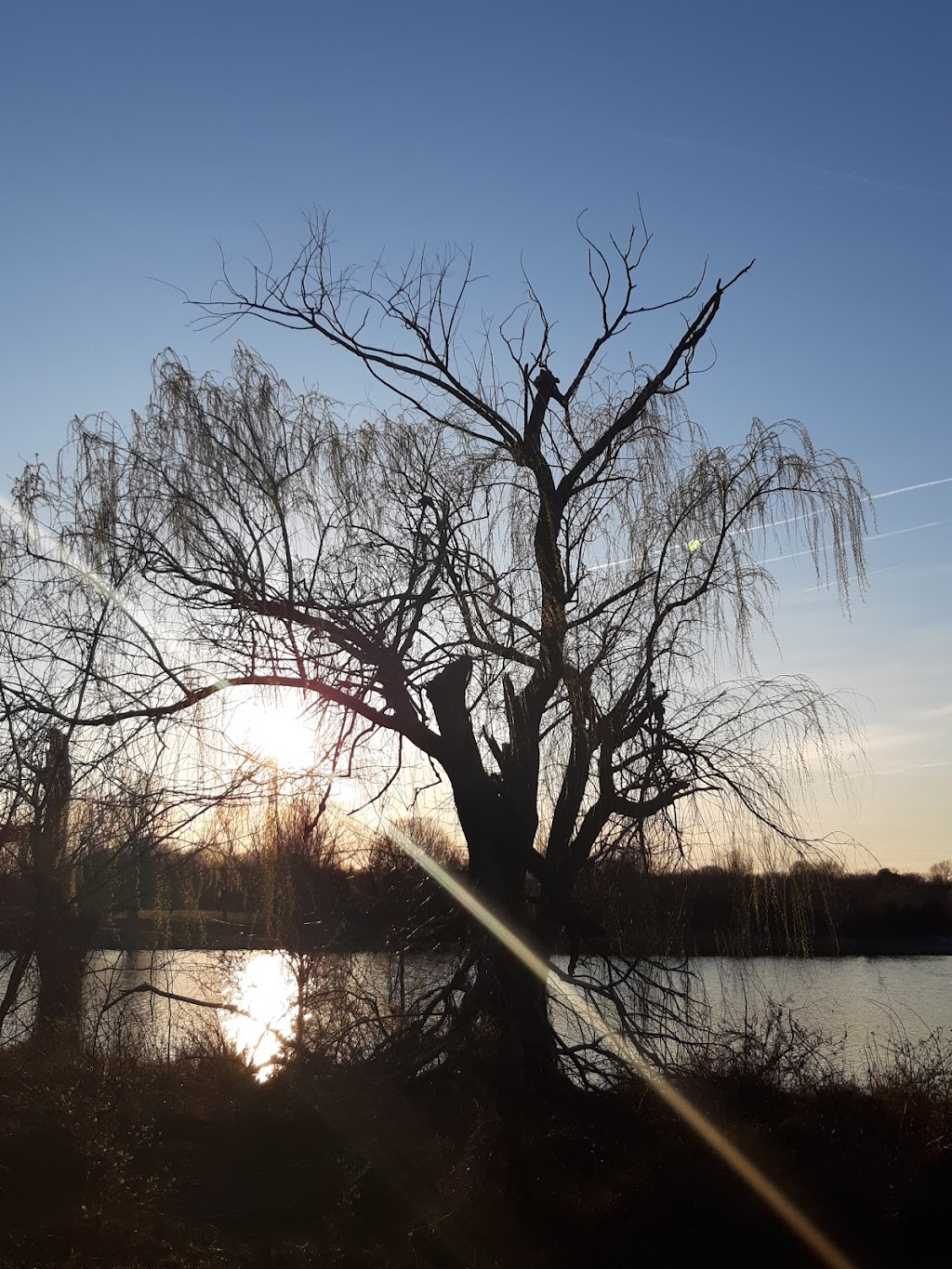 Lake Artemesia Natural Area | 8200 55th Ave, College Park, MD 20740, USA | Phone: (301) 627-7755