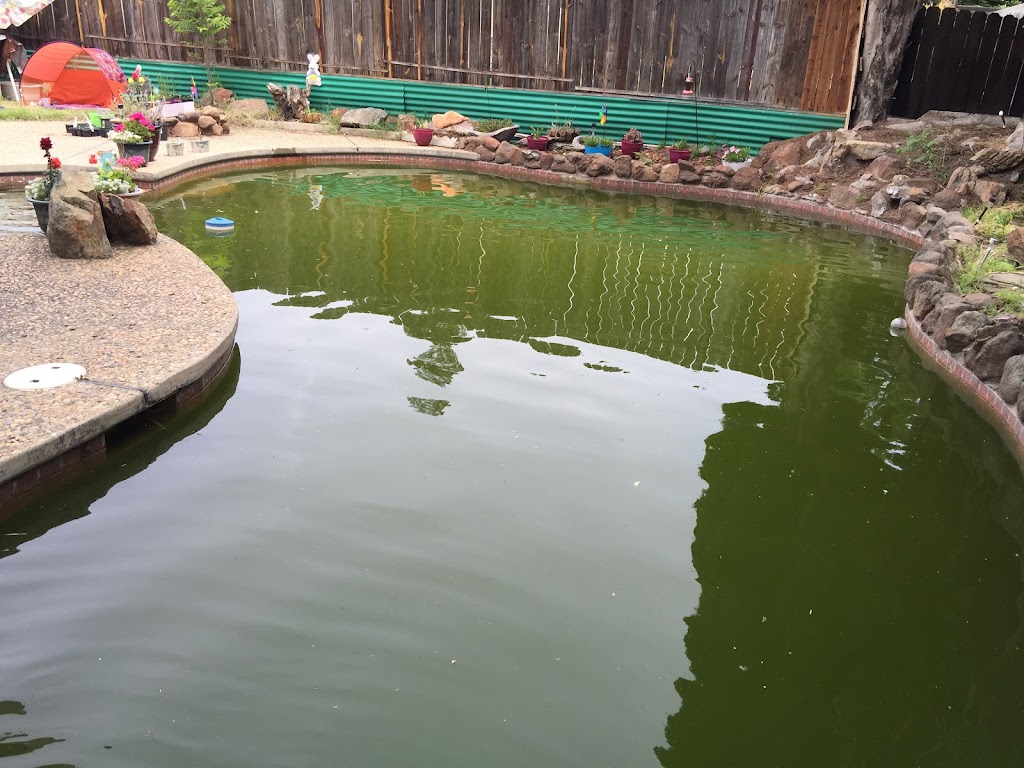 NorCal Pools | 2351 Sunset Blvd, Rocklin, CA 95765, USA | Phone: (916) 258-5114