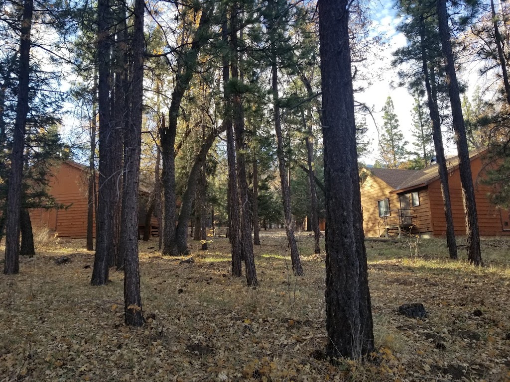 Mile High Pines Camp | 42739 CA-38, Angelus Oaks, CA 92305, USA | Phone: (909) 794-2824