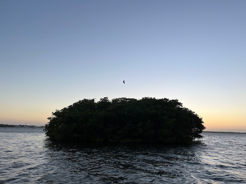 Capt. Sterlings Everglades Tour | Dolphins Plus, 101900 Overseas Hwy, Key Largo, FL 33037, USA | Phone: (305) 394-7422