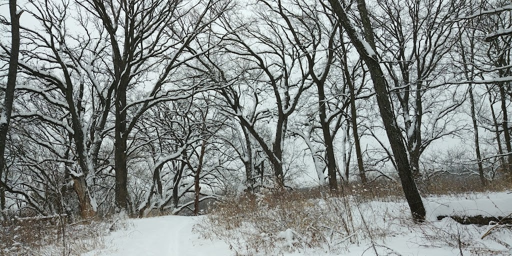 Lyman Woods & William F. Sherman, Jr. Interpretive Center | 901 31st St, Downers Grove, IL 60515, USA | Phone: (630) 963-9388