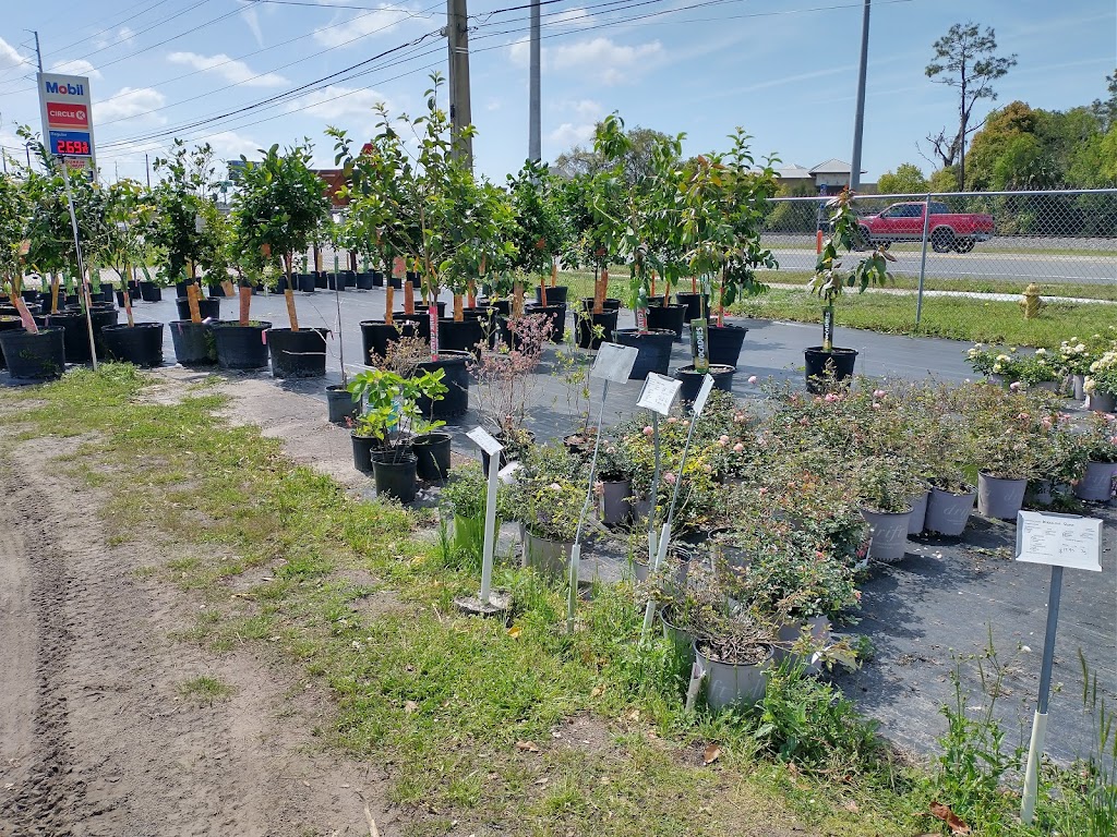 Williams Plant Nursery | 12411 Philips Hwy, Jacksonville, FL 32256, USA | Phone: (904) 292-0354