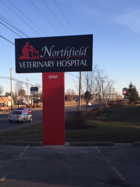 Northfield Veterinary Hospital | 10545 Northfield Rd, Northfield, OH 44067, USA | Phone: (330) 467-6400