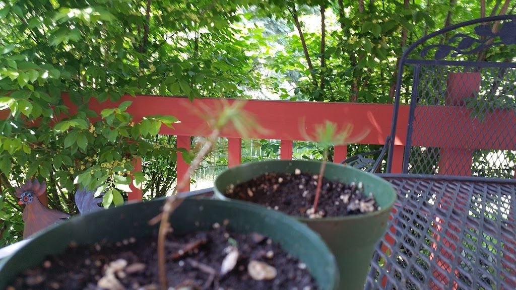 Back and Pain Center at Canton Health Center | 1051 N Canton Center Rd, Canton Township, MI 48187, USA | Phone: (734) 615-7246