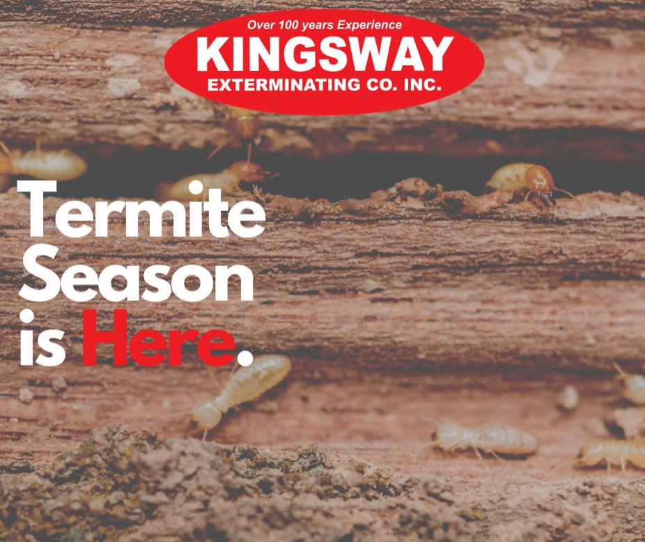 Kingsway Exterminating | 2216 Flatbush Ave, Brooklyn, NY 11234, USA | Phone: (718) 859-8448