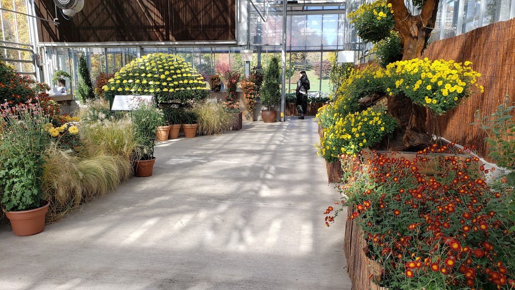 Nolen Greenhouses | Bronx, NY 10467, USA | Phone: (718) 817-8700