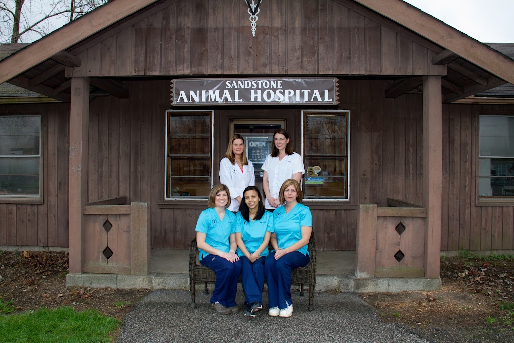 Sandstone Animal Hospital | 1061 W Bagley Rd, Berea, OH 44017, USA | Phone: (440) 234-6336