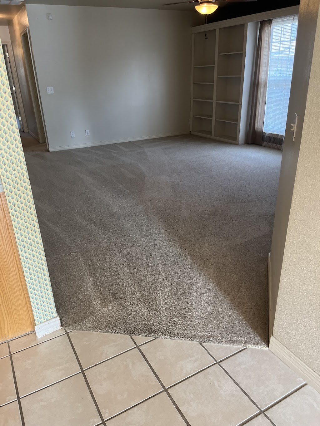 Dynamic Carpet Care | 21701 East 71st St S, Broken Arrow, OK 74014, USA | Phone: (918) 279-1847