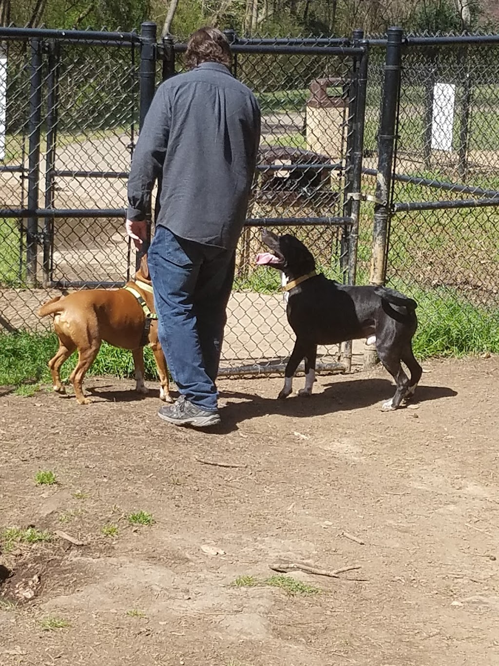 Spencer Park Dog Park | Spencer St, Rock Hill, SC 29730, USA | Phone: (803) 329-5632