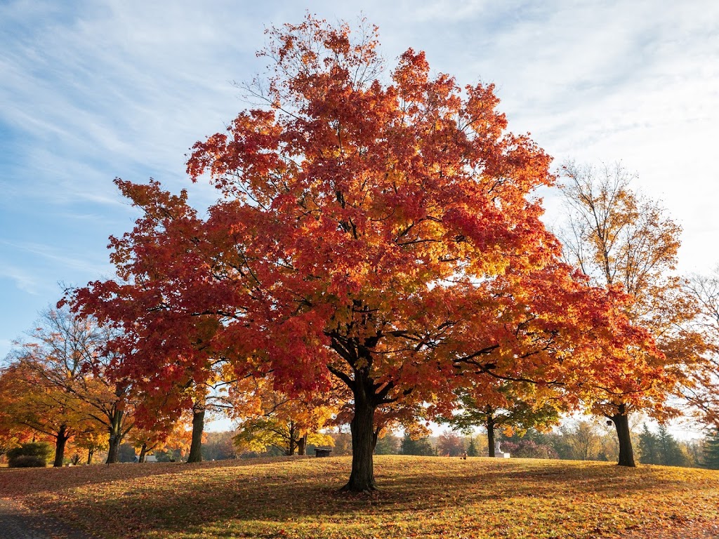 Oakland Hills Memorial Gardens | 43300 W 12 Mile Rd, Novi, MI 48377, USA | Phone: (248) 349-2784