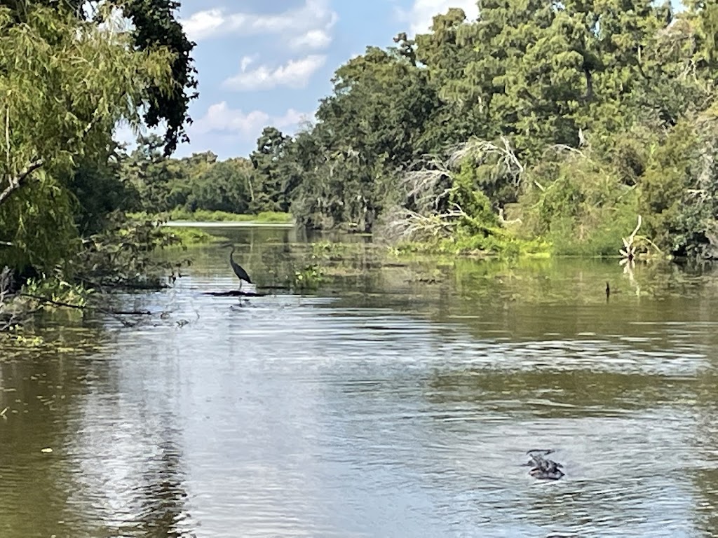 Airboat Adventures | 5145 Fleming Park Rd, Lafitte, LA 70067, USA | Phone: (504) 689-2005