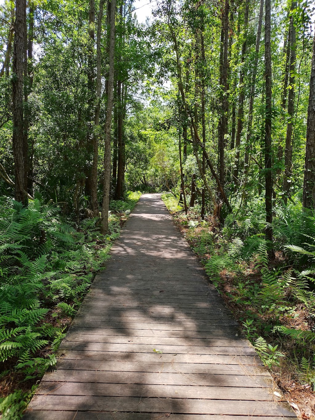 Spanish Pond Trailhead | Jacksonville, FL 32225, USA | Phone: (904) 641-7155