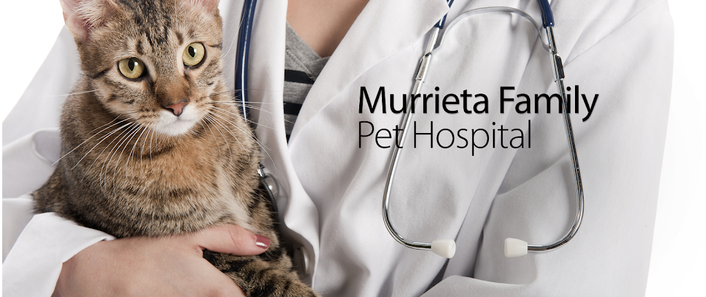 Murrieta Family Pet Hospital | 23771 Washington Ave Suite #105/106, Murrieta, CA 92562, USA | Phone: (951) 595-7754