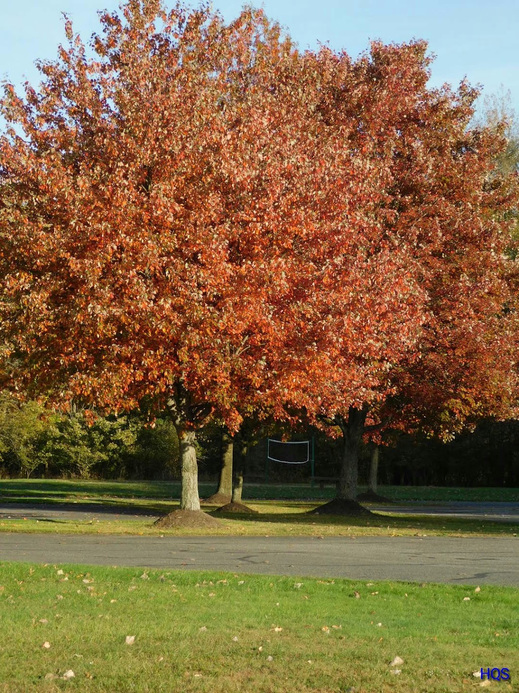 Lorain County Metro Parks High Meadows Shelter #1 | 1750 Ford Rd, Elyria, OH 44035, USA | Phone: (440) 324-5481