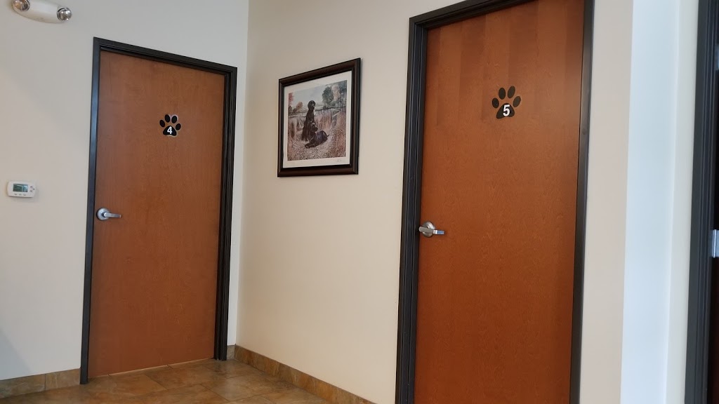 FM 685 Animal Hospital | 695 Chris Kelley Blvd, Hutto, TX 78634, USA | Phone: (512) 846-1901