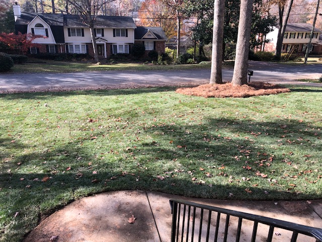 All Star Landscapes and Lawn Care LLC | 3845 Falls Landing Dr, Alpharetta, GA 30022, USA | Phone: (678) 313-0304