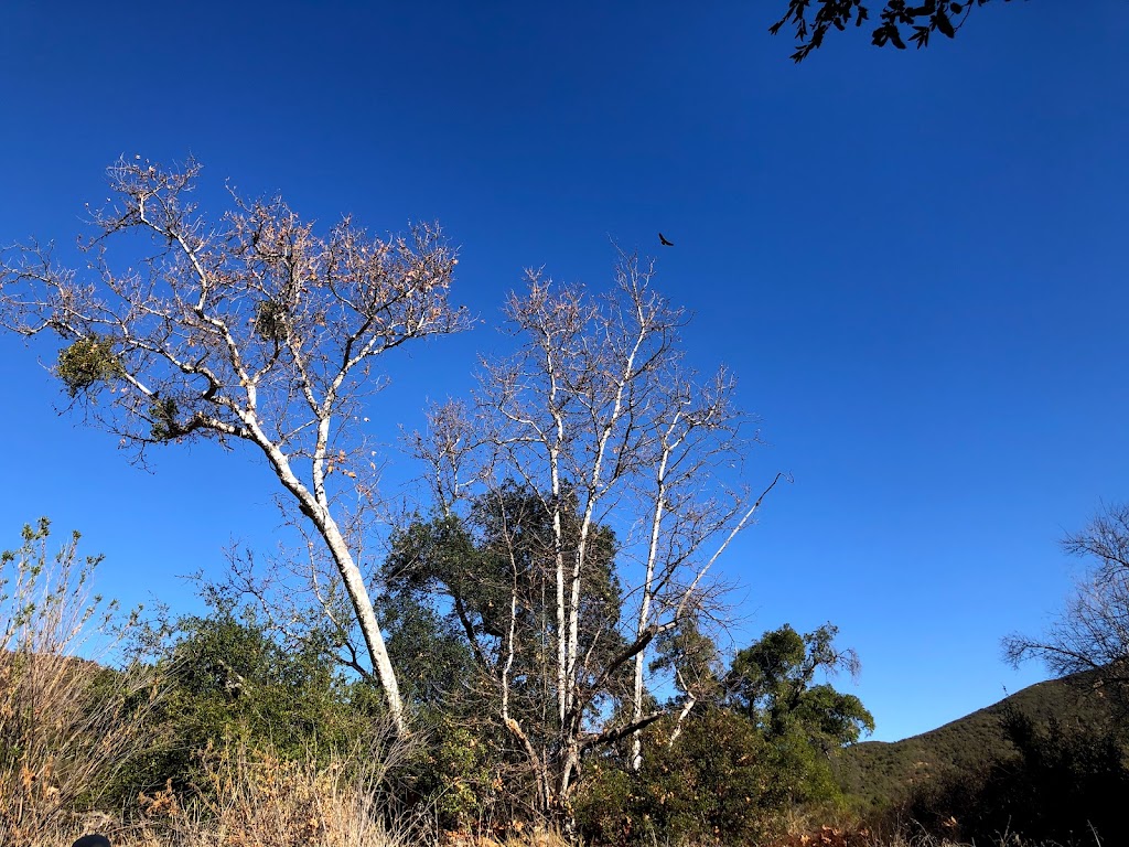 Tenaja Trailhead | Forest Rte 7501 Tenaja Trail (5W07, Murrieta, CA 92562, USA | Phone: (951) 736-1811