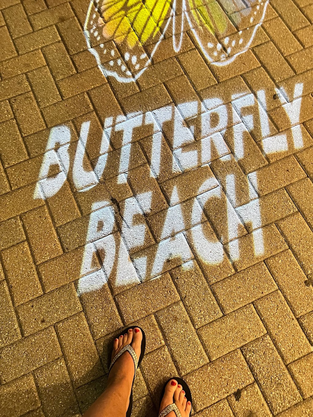 Butterfly Beach | 313 John Ringling Blvd, Sarasota, FL 34236, USA | Phone: (941) 346-6785