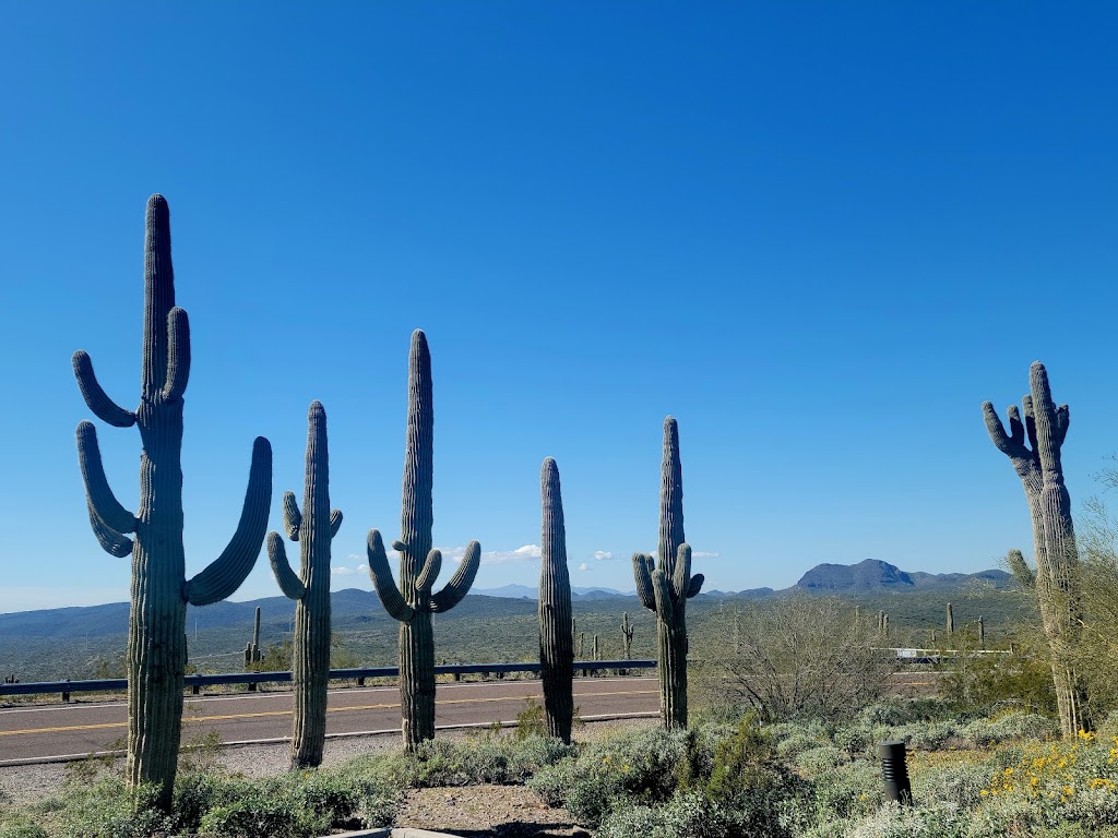 Lake Pleasant Discovery Center | 39345 N Overlook Rd, Peoria, AZ 85383, USA | Phone: (928) 501-1700