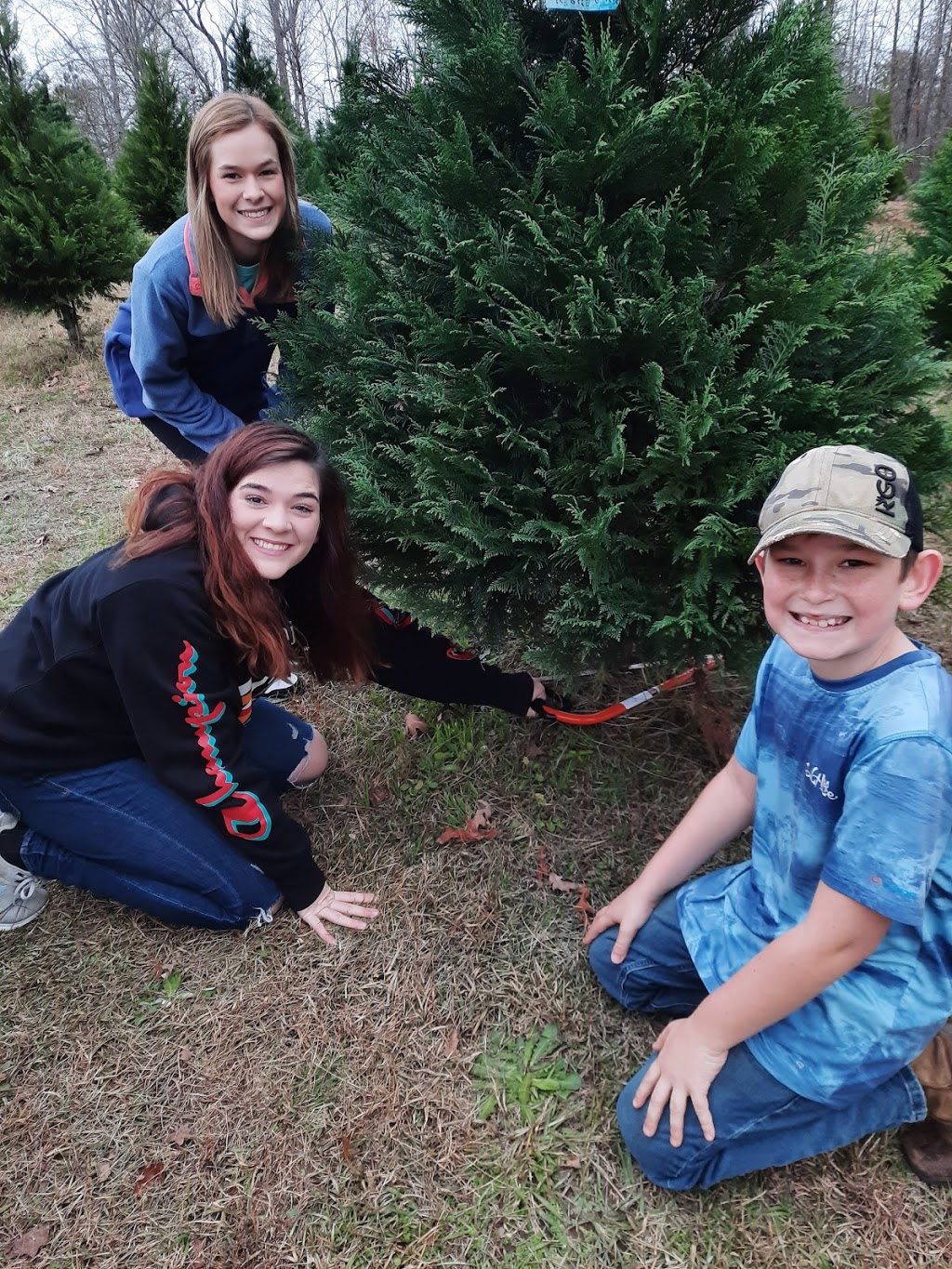 Beavers Christmas Tree Farm | 10093 Bradford Trafford Rd, Trafford, AL 35172, USA | Phone: (205) 681-4494