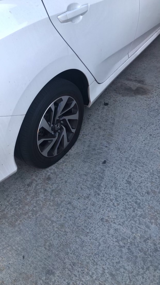 Steed Auto Repair | 8143 Commonwealth Ave, Buena Park, CA 90621, USA | Phone: (714) 521-5781