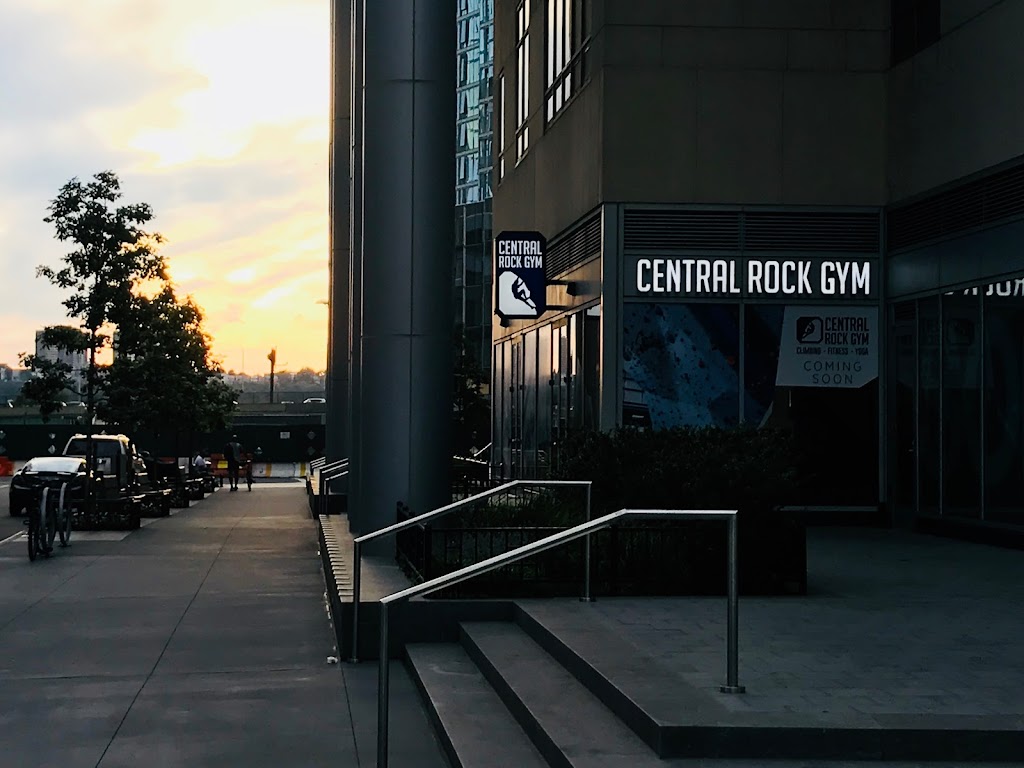 Central Rock Gym | 21 West End Ave, New York, NY 10069, USA | Phone: (212) 265-7625