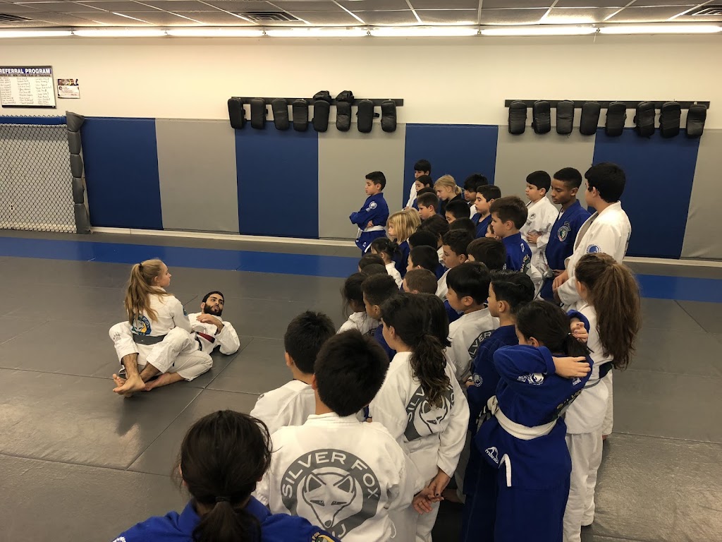 Silver Fox Brazilian Jiu-Jitsu Academy [East Hanover] | 28 Littell Rd, East Hanover, NJ 07936, USA | Phone: (973) 987-8500