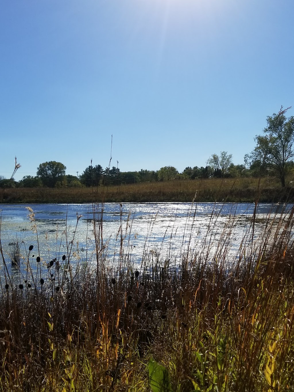 Cherokee Conservation Park | 5002 School Rd, Madison, WI 53704, USA | Phone: (608) 266-4711