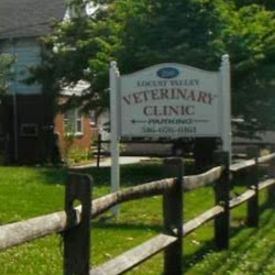 Locust Valley Veterinary Clinic | 280 Forest Ave, Locust Valley, NY 11560, USA | Phone: (516) 676-6161