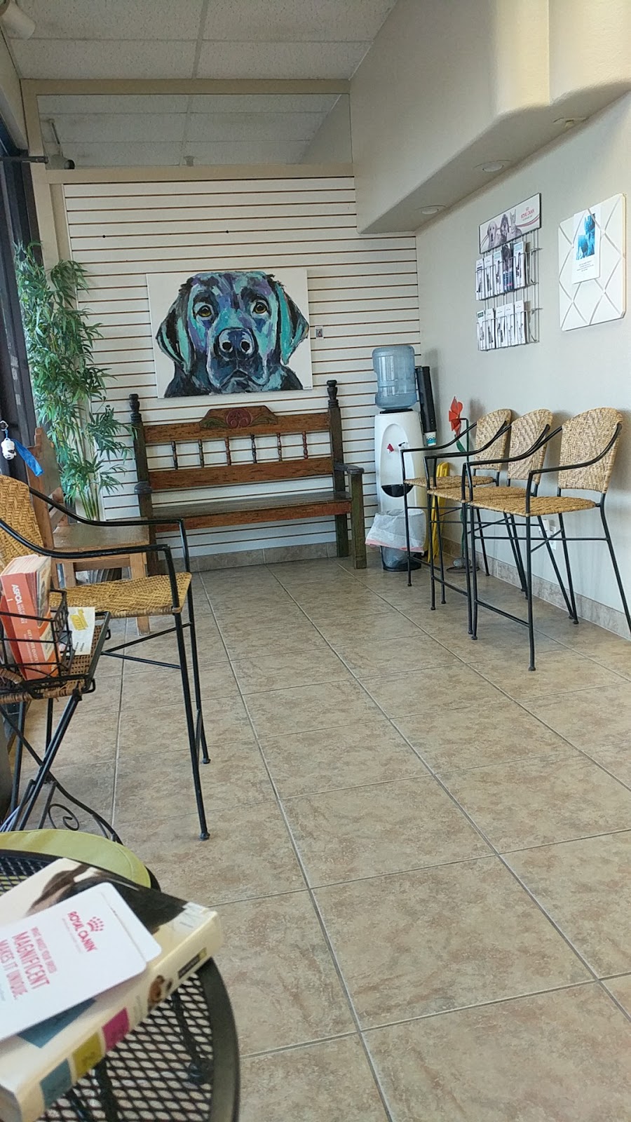 Desert Tails Animal Clinic - veterinary care  | Photo 2 of 3 | Address: 9619 N Hayden Rd #111, Scottsdale, AZ 85258, USA | Phone: (480) 998-2010
