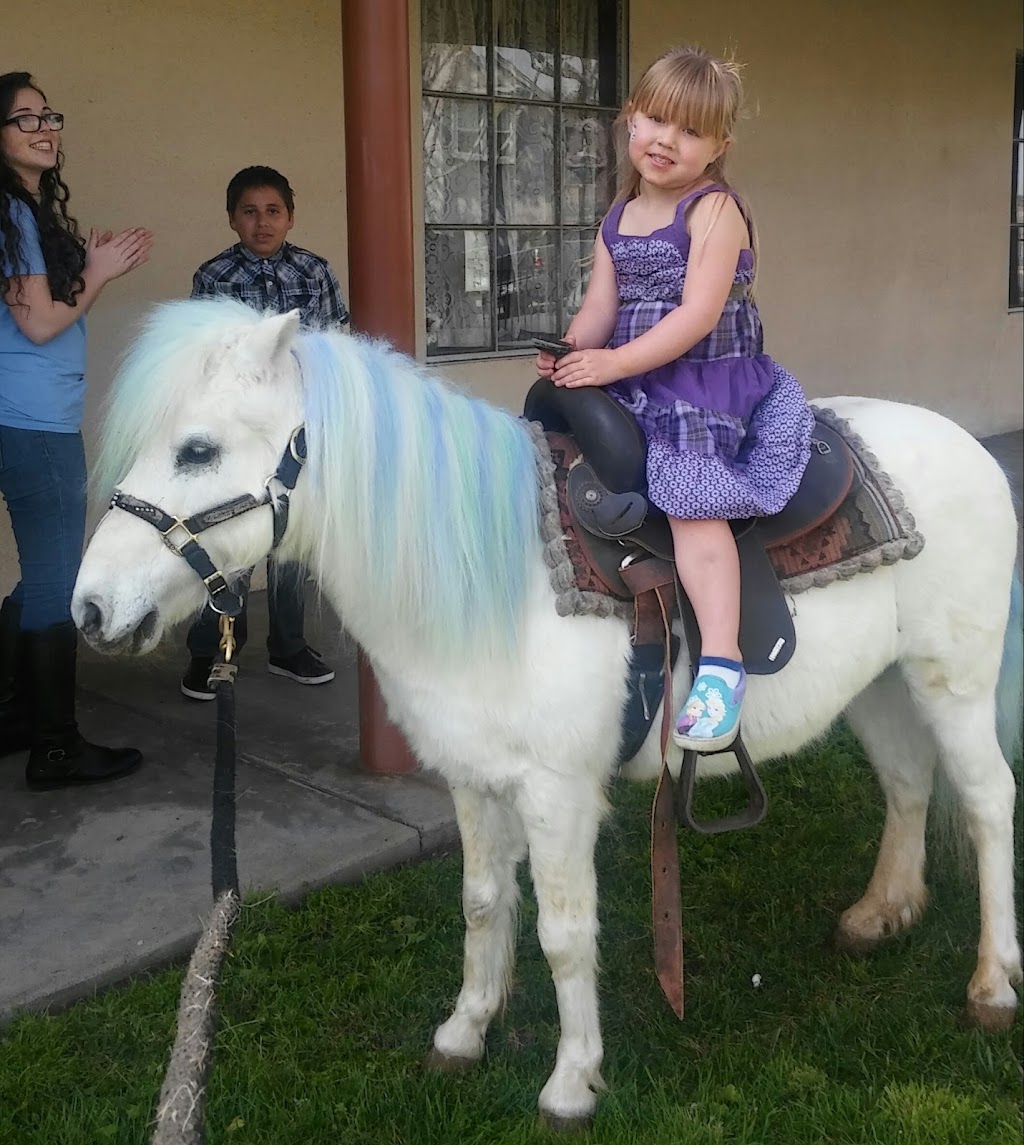 Alice | 1623 N Hall St STE 103, Dallas, TX 75204, USA | Phone: (469) 872-0001