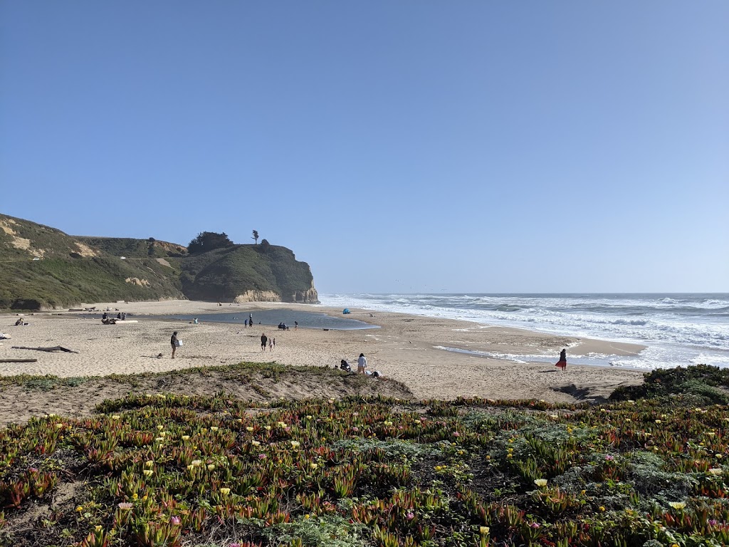 Pomponio State Beach | 19369 Cabrillo Hwy S, San Gregorio, CA 94074, USA | Phone: (650) 879-2170