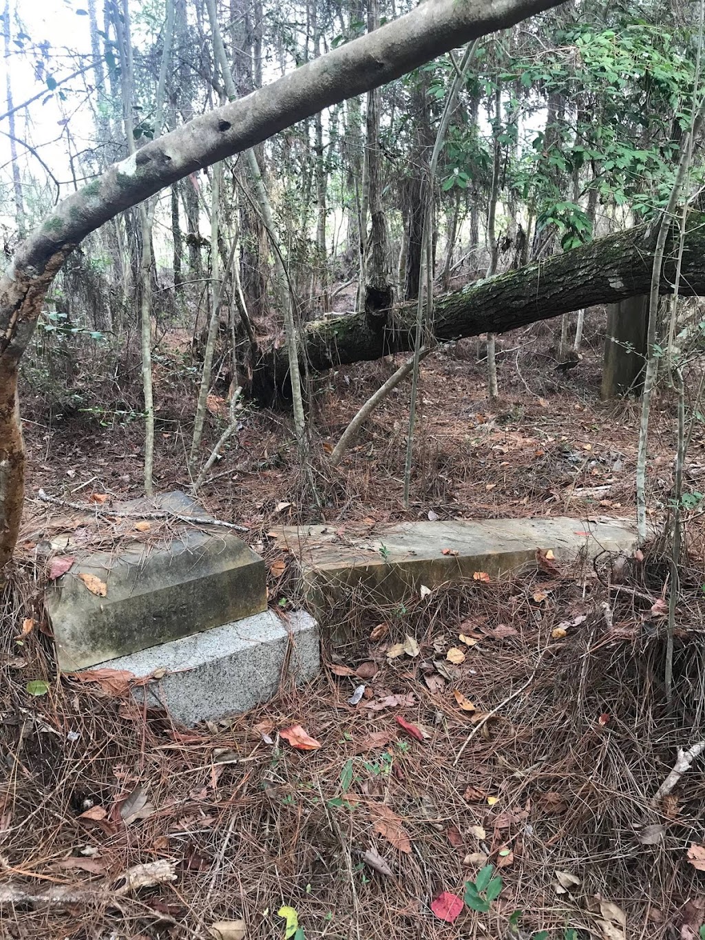Spring Branch Church Cemetery | Old Gainesville - Pearlington Rd, Pearlington, MS 39572, USA | Phone: (228) 216-3776