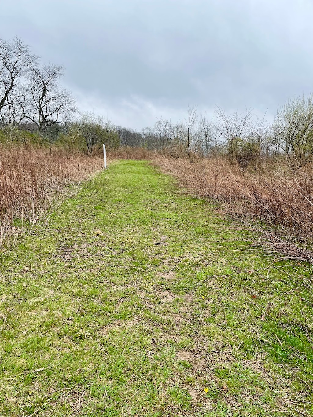 Todd Fork Nature Preserve | 1703 Co Rd 3, Wilmington, OH 45177, USA | Phone: (513) 752-2828