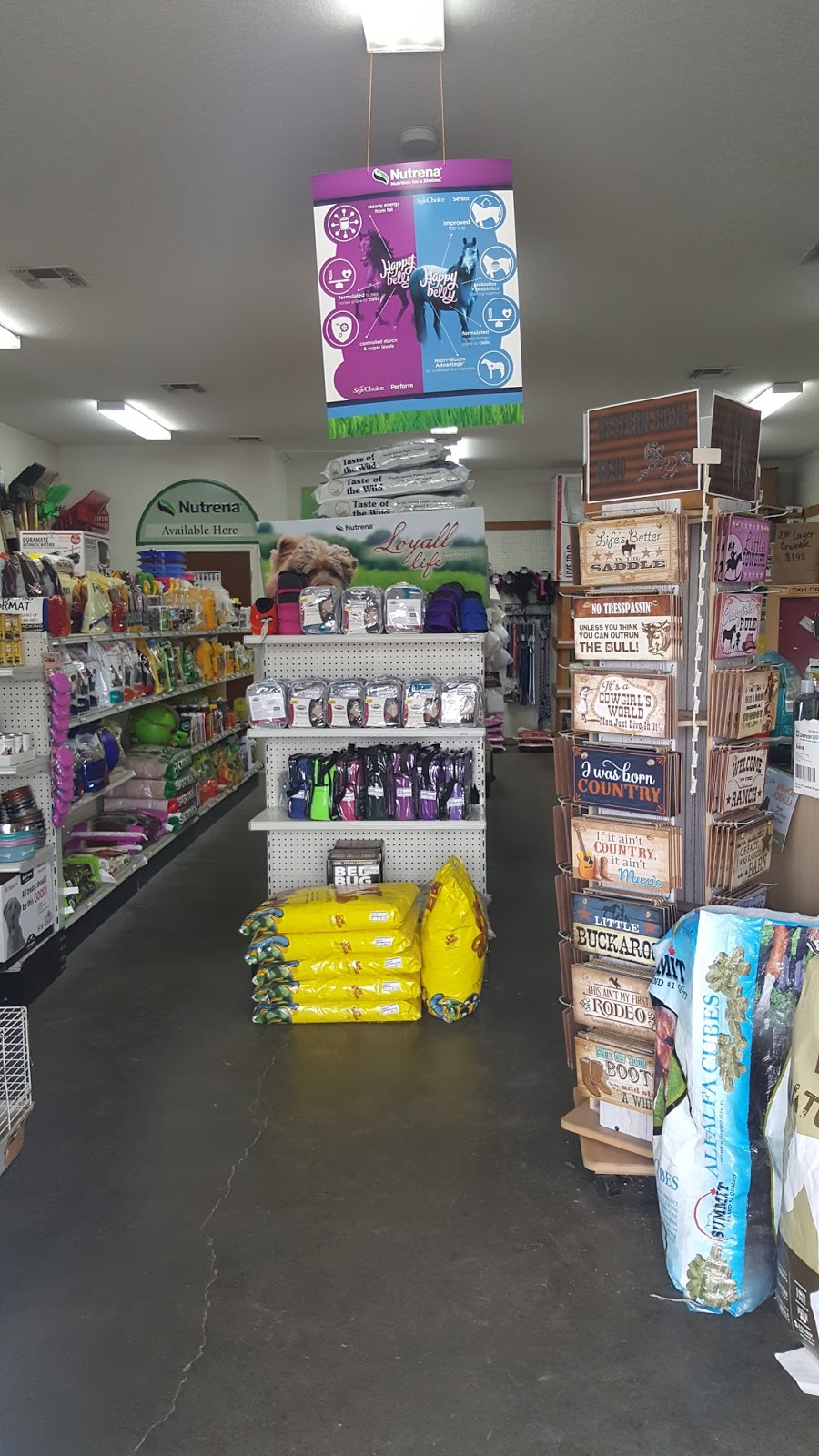 Bliss Feed & Supplies | 36703 Chancey Rd, Zephyrhills, FL 33541, USA | Phone: (813) 782-1129