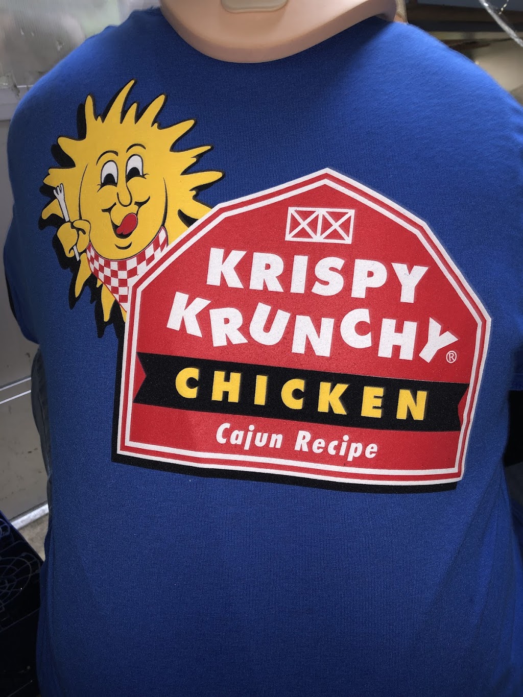 krispy Krunchy Chicken | 18525 W 7 Mile Rd, Detroit, MI 48219, USA | Phone: (313) 246-6900