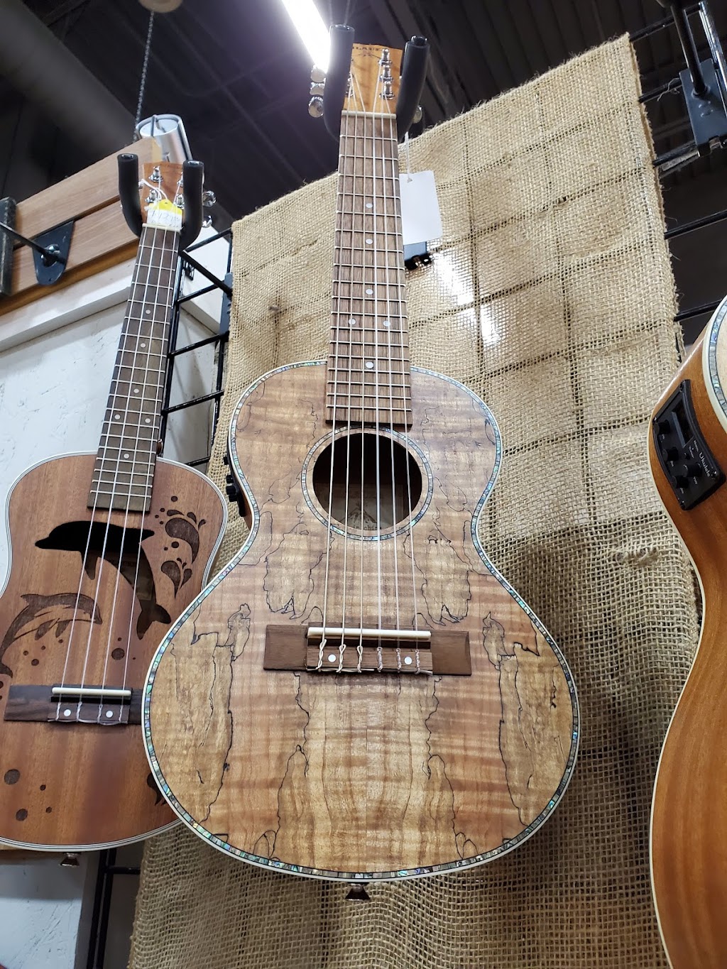 Guitarasaur Guitars & Ukuleles (In Painted Tree) | 2240 Justin Rd, Highland Village, TX 75077, USA | Phone: (817) 456-6864