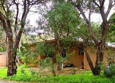 Steam Master Cleaning and Restoration | 495 Angel Dr, Lakehills, TX 78063, USA | Phone: (830) 751-2300