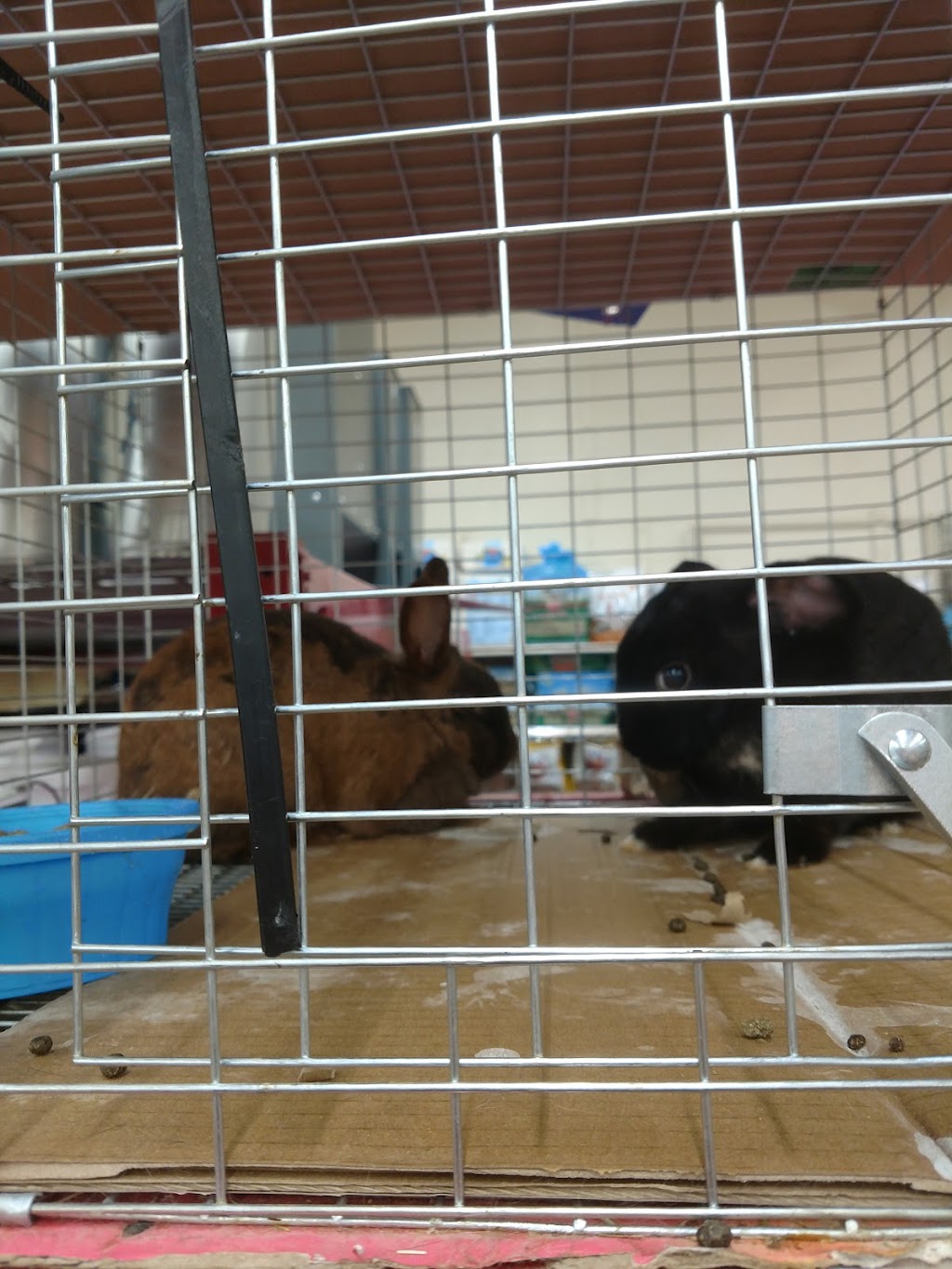 Rural King | 23625 US-23, Circleville, OH 43113, USA | Phone: (740) 474-3874