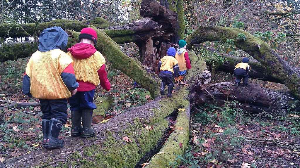 Tiny Treks NW Outdoor School | 8708 196th Ave NE, Redmond, WA 98053, USA | Phone: (425) 503-6953